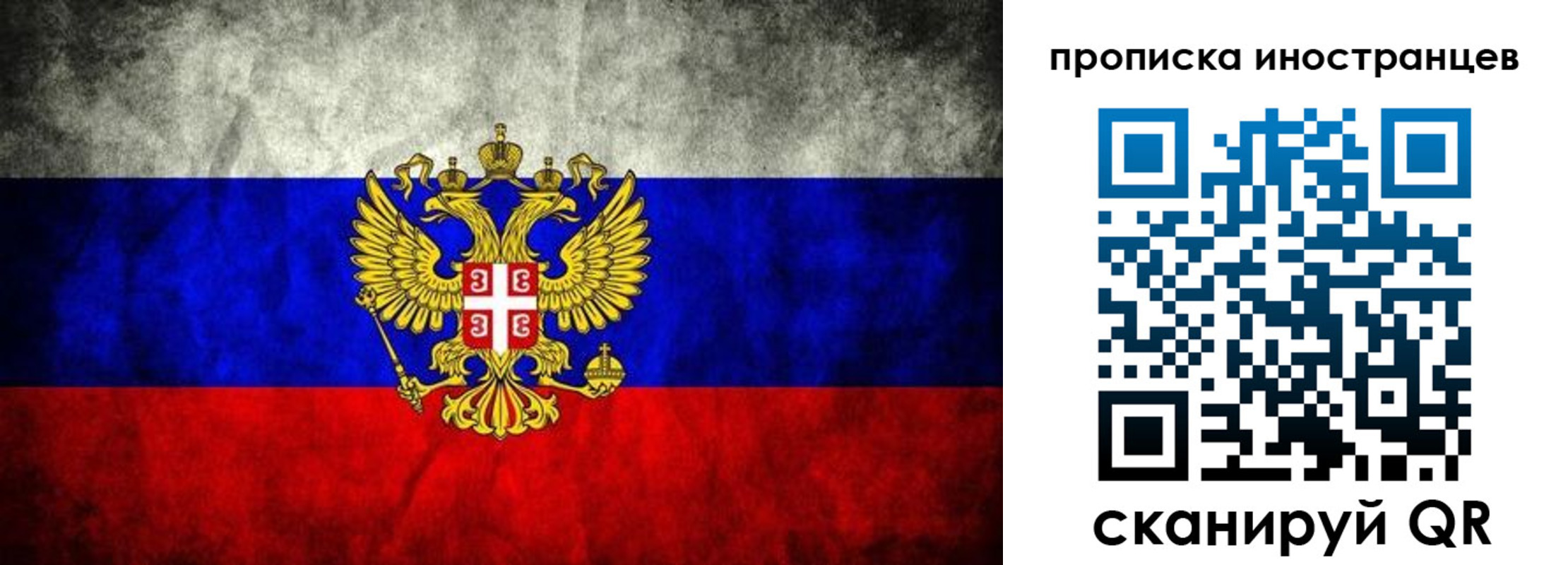 прописка иностранных граждан в Мончегорске